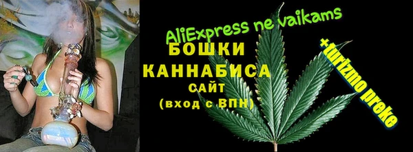мескалин Богданович