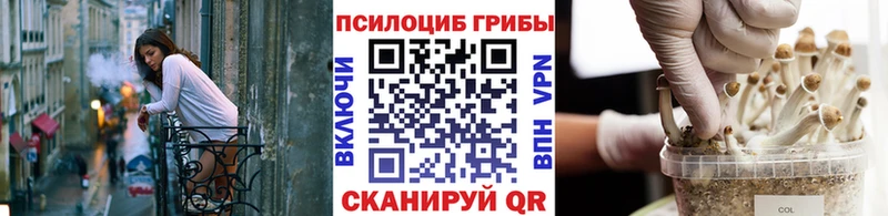 гидра зеркало  Апшеронск  Псилоцибиновые грибы Psilocybine cubensis  наркота 