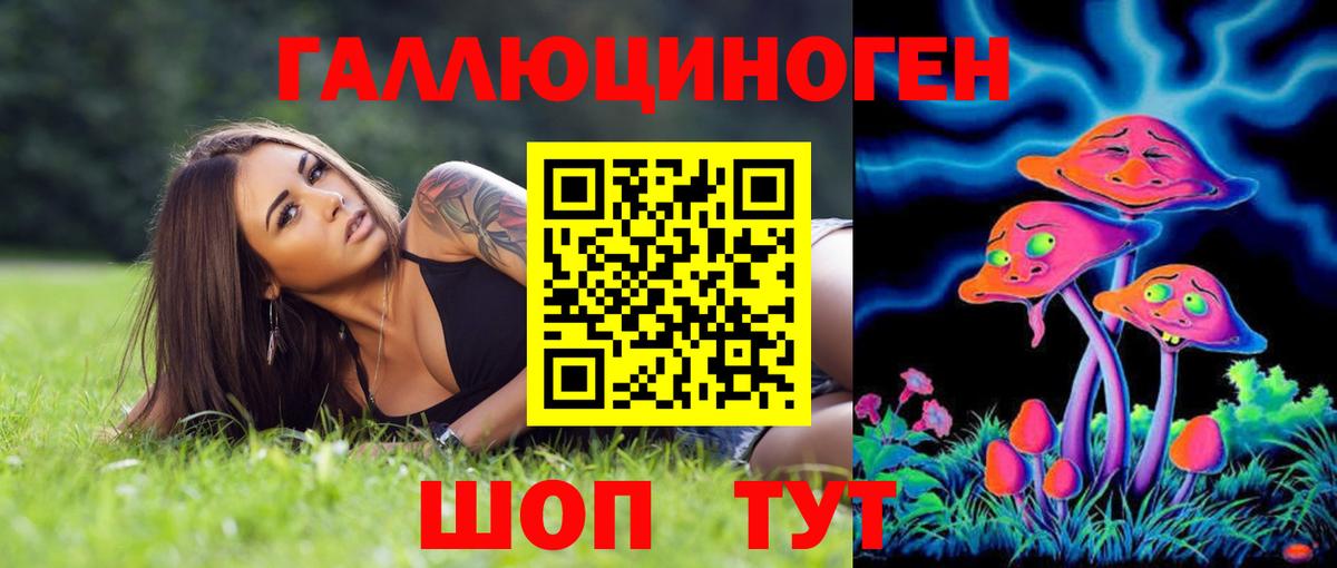 Галлюциногенные грибы мухоморы Апшеронск