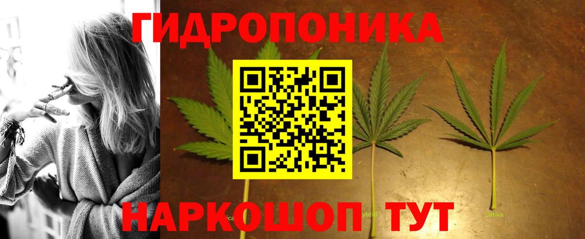 Бошки марихуана OG Kush Апшеронск